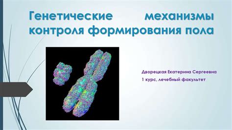 Генетические механизмы