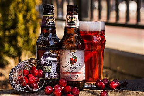 Вишневое пиво и фрукты