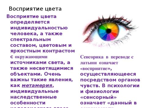 Восприятие выражения с точки зрения современной лингвистики