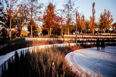 Городской парк: место для ключевых сцен расследования