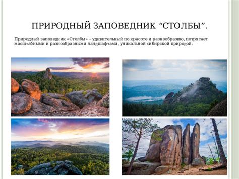 Заповедники, парки и пляжи – источник уникальных природных сокровищ и радость для туристов