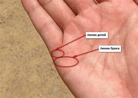 Линия детей: специфика и толкование