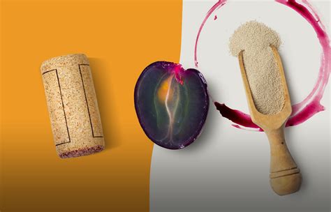 Натуральность висконы