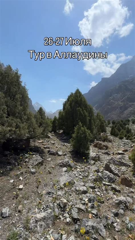 От "Где поют" к славе: путь становления профессиональных певцов