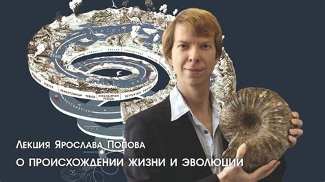 Развитие отношений между известными личностями: эволюция связи Попова и Шастуна