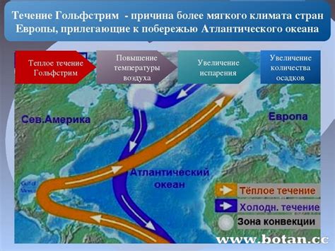 Расположение и страны, прилегающие к побережью моря