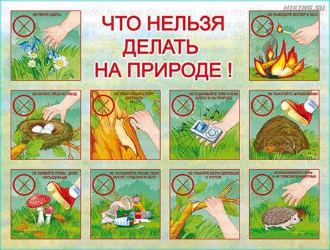 Стандарты безопасности: меры для защиты туристов в Сахалине и Камчатке