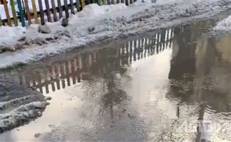  Происхождение выражения "Сказал как в лужу плюнул"