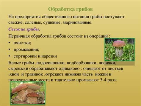 Альтернативное использование промывания грибов