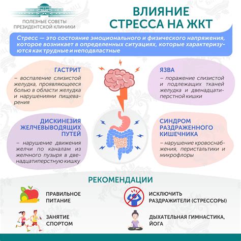 Влияние ингредиентов айрана на ЖКТ