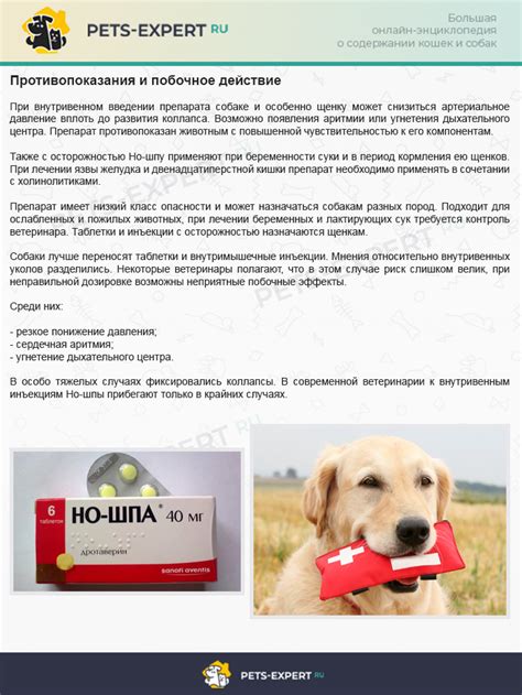 Действие Найз и Но-шпы