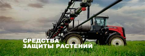 Использование стимуляторов роста клеток