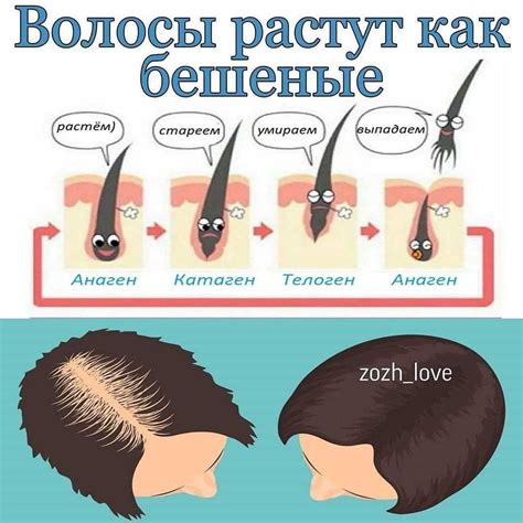 Как влияет бритье на осмотр