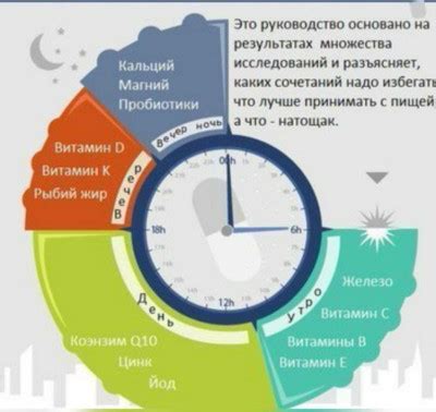 Как влияет время приема бифидока на его эффективность