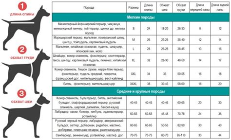 Как определить породу щенка