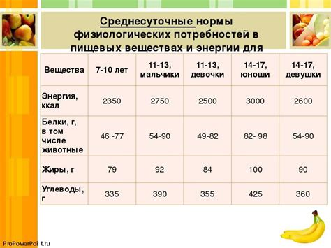 Количество пищи, необходимое бобру для поддержания веса