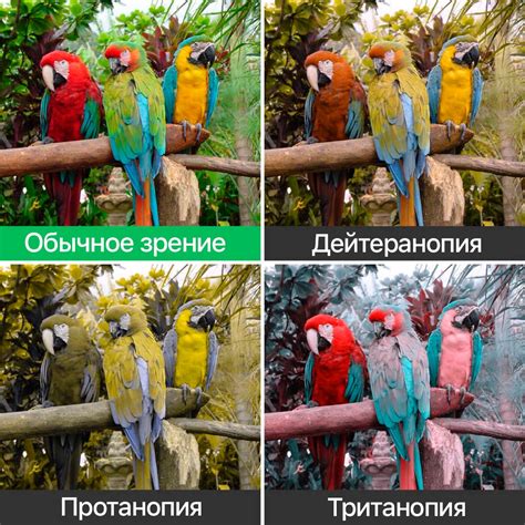 Наглядные примеры