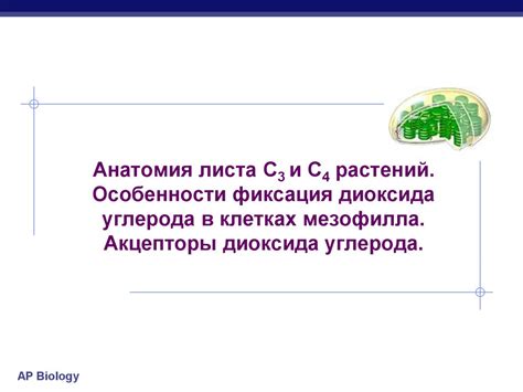 Нанесение и фиксация листа