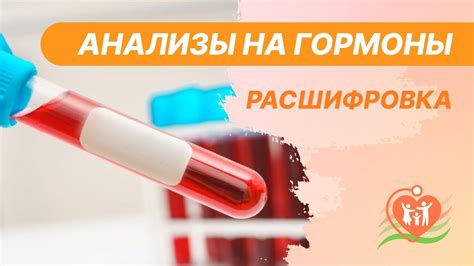 Научное исследование присутствия гормонов в квасе