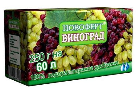 Оптимальное время и частота удобрения винограда