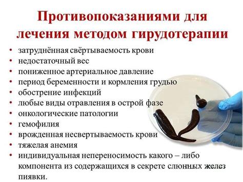 Пиявки для лечения лимфоузлов: эффективность и безопасность