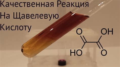 Получение щавелевой кислоты из щавеля