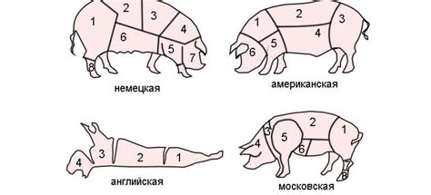 Правила выбора свиной крови для хранения