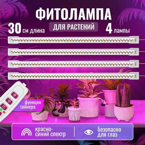 Преимущества использования фитолампы с таймером