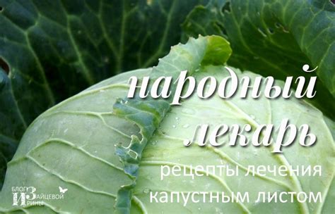 Преимущества применения капустного листа