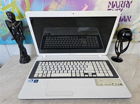 Раздел 1: Packard Bell ноутбуки