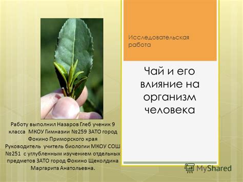 Раздел 7: Состав селедки и его влияние на организм