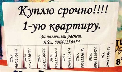 Рекомендации по сдаче квартиры таджикам