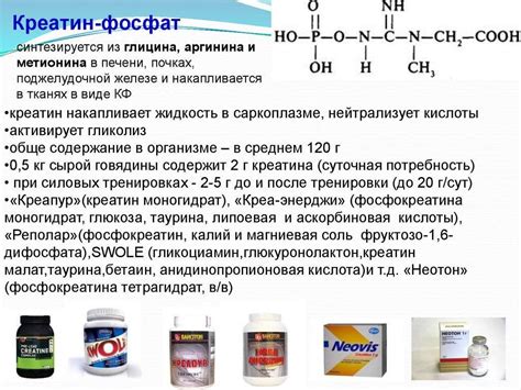Рекомендации по употреблению креатина перед сном