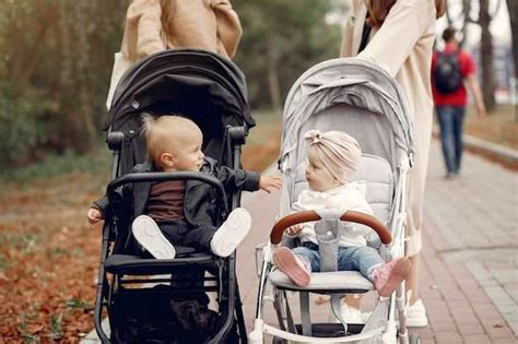 Тонкости погоды, которые необходимо учитывать при выборе времени для вылазки котенка