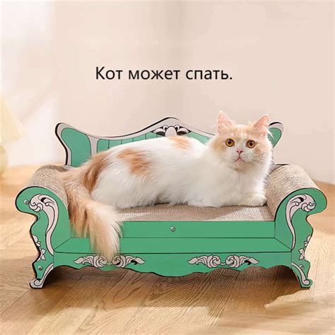 Ушки-антенны: идеальное место для нежности