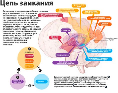 Физиологические причины хлопка при объятии