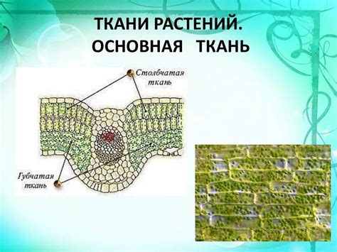 Шаг 2. Обрезка и крепление основной ткани