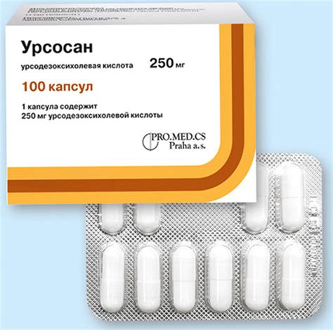 Эссенциале и Урсосан: общие принципы действия