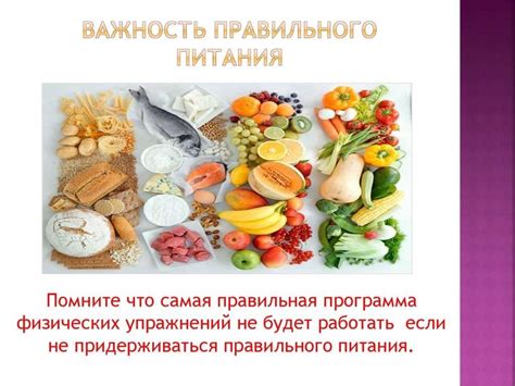 Важность правильного питания и рационального распорядка дня