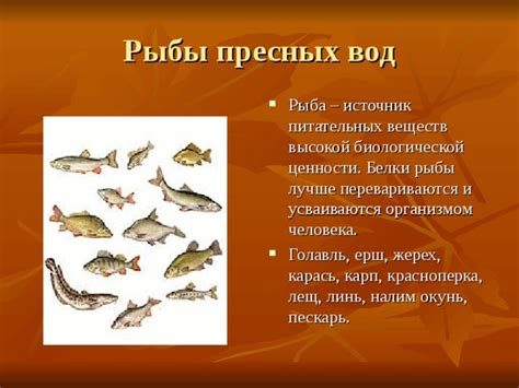 Карп: ценный источник полезного жира