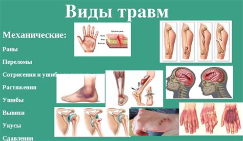 Механические повреждения и травмы