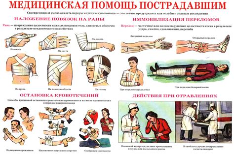 Первая помощь при проглатывании бычьего корня