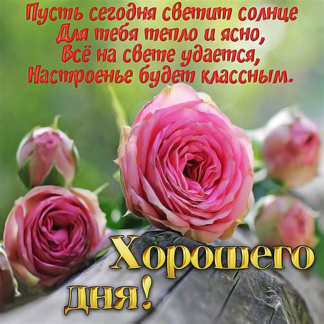 Пожелание хорошего дня