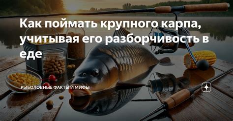 Преимущества использования жира карпа в еде