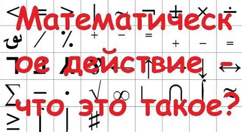 Протеолитическое действие: что это и как оно работает