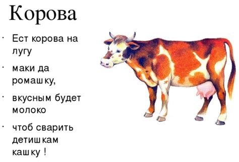 Различные истолкования сна о корове, рождающей белого теленка