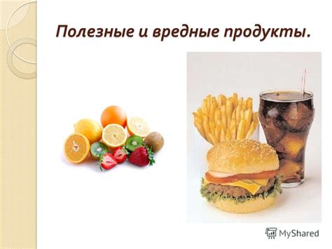 Режим питания и его влияние на аппетит у хорька