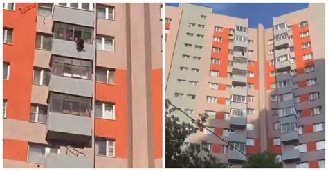 Собака выпала с балкона