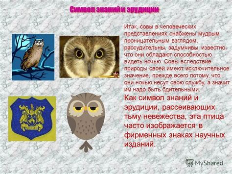 Сова как знак