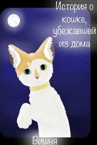 Сон о кошке, ушедшей из дома: предостережение
